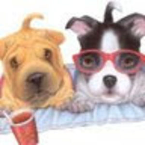 Meet your Posher, Anita